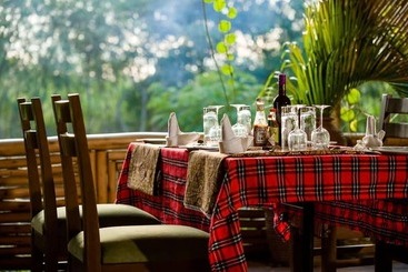 هتل Simba Safari Camp