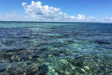 בית מלון כפרי Treetops