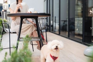 בית מלון כפרי Jal City Toyama