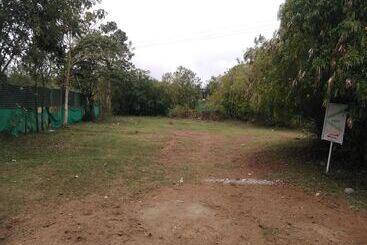 Отель The Big Cat Den Resort