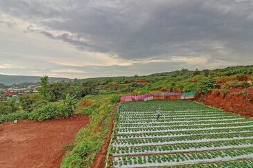 בית מלון כפרי Treebo Mountain Retreat Mahabaleshwar, 600 Mtrs From Lingmala Waterfall