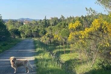 ペンション Le Domaine De La Tuilerie   Gîte De Charme En Bord De Rivière Avec Piscine