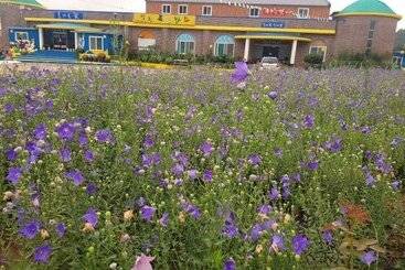 Gangjin Jeulgeounga Pension