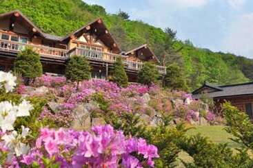 Pyeongchang Sonamoohwangto Pension