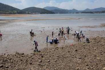 Sacheon Bichae Pension