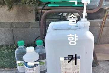 Yeongdeok Solhyanggi Pension