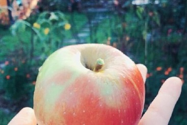 Cheongdo Aria Pension