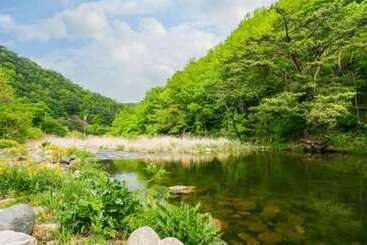 Danyang Eowoolim Pension