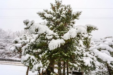 Danyang Honggane Pension