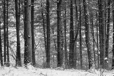 Namyangju Supsogui Cabin Pension