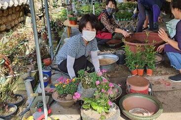 פנסיון Chungju Wildflowers And Gotaengnadeuri