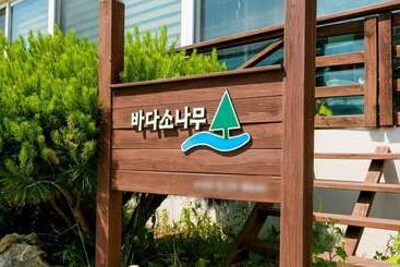 Samcheok Bada Sonamu Pension