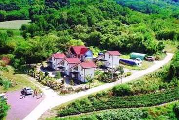 Yanggu Always Sol Pension