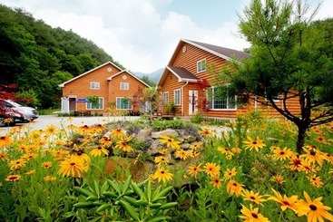 Yanggu Gohyangui Bom Pension