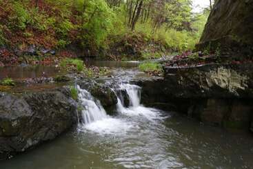 Cheongsong Songwol Pension