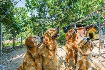 Goesan Romi House Pension