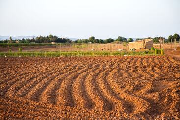 בית מלון כפרי Can Canto De Marina Agroturismo