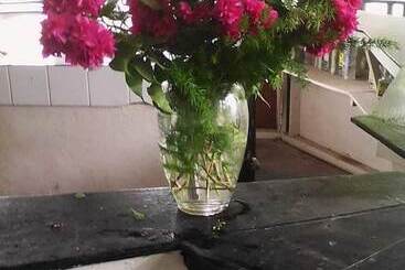 Drifters At One Mile   Hostel