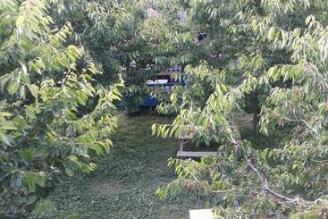 Gursu Otel Kebap Lokantasi