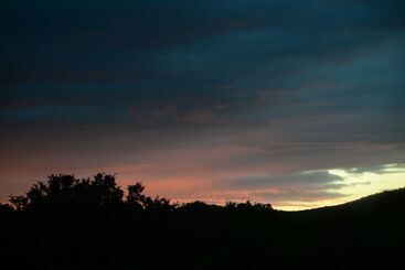 Hostal San Jose   Hostel