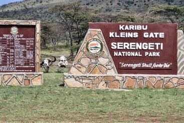 Africa Safari Maasai Boma