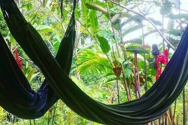 فندق Tropical Biohostel By Rotamundos