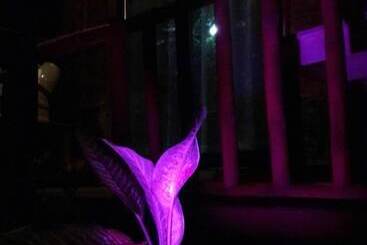 Premiere Haven Hostel Siargao