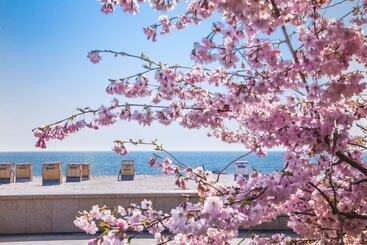 Сельский дом Strandhaus Rügen