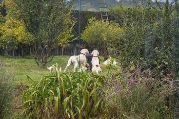 Yakumama Hostel Y Restaurant