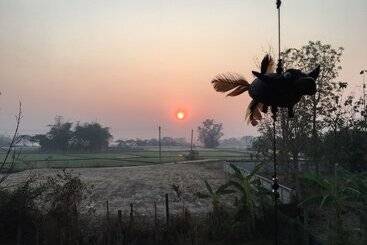 فندق Baan Mali Lampang