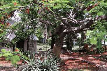 هتل Naina Park Resort