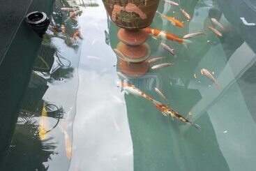 هتل Turi Staypoint