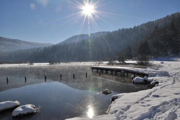 پانسیون Green Point