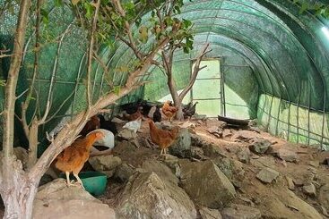 Pensione Wondumag Minbak