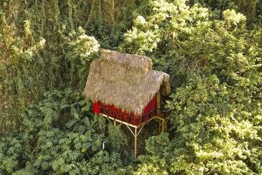Dominican Tree House