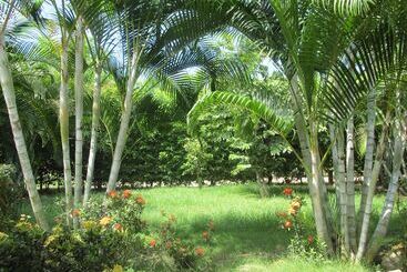 فندق Ecogarden Cabanas Ecologicas