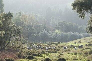 فندق ريفى Vumba   House Of The Lizard