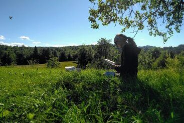 پانسیون Prenočišča Miklavčič