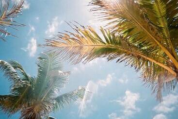 کلبه Villa In Windsor Hills Resort 1772