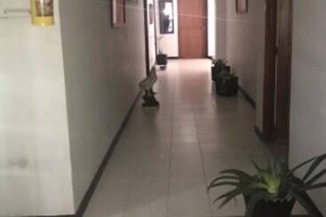 فندق Davinchi Suite