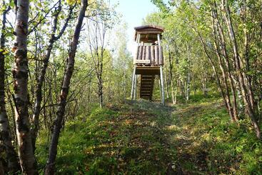 Wild Caribou S Wildwood Cabin