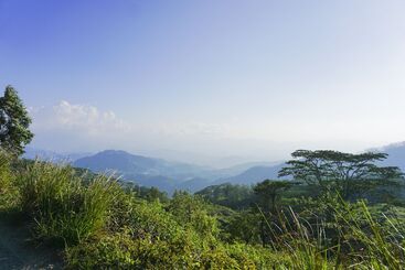 Wild Glamping Knuckles   Thema Collection