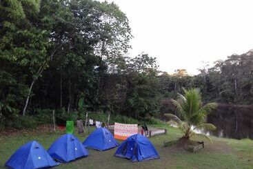 هاستل Jungle Reps