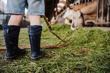 아파트호텔 Biohof Rechenmacher