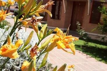 קוטג'' Cabañas Tamylu