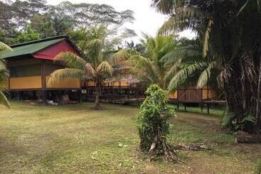 Amazon Wonder Expeditions