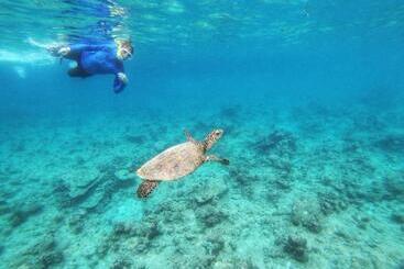 호텔 Island Luxury Fehendhoo