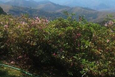 酒店 Suites Em Meio A Mata Atlantica