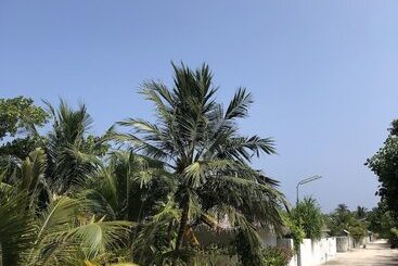 Pensjonat Tropical Sands Kelaa