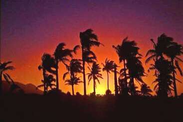 호텔 Ticao Island Resort